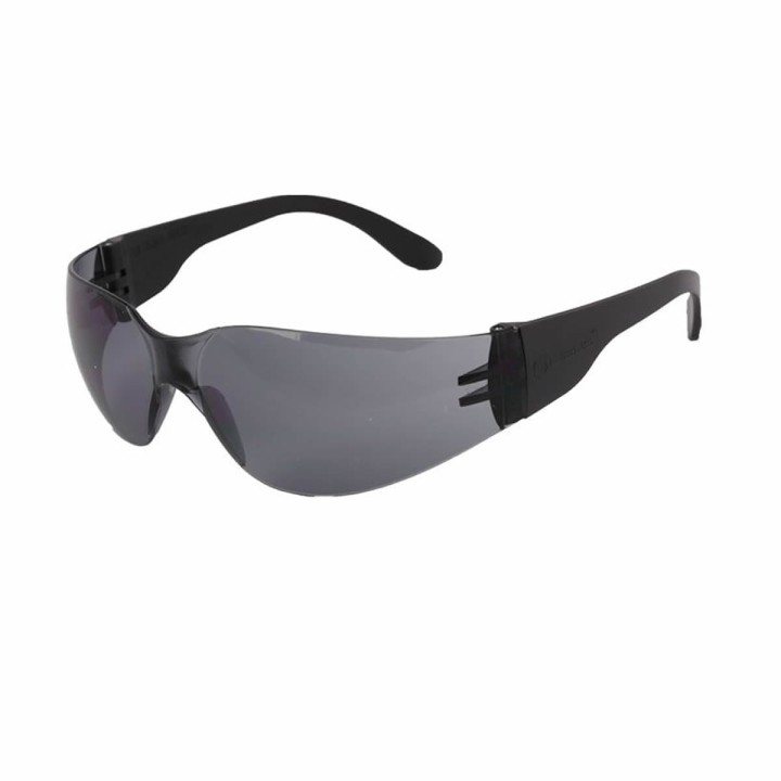 Gafas ECO LINE Lente Oscuro Libus