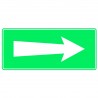 Señal Fotoluminiscente Flecha 30x15